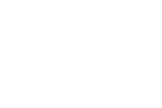 Roland logo